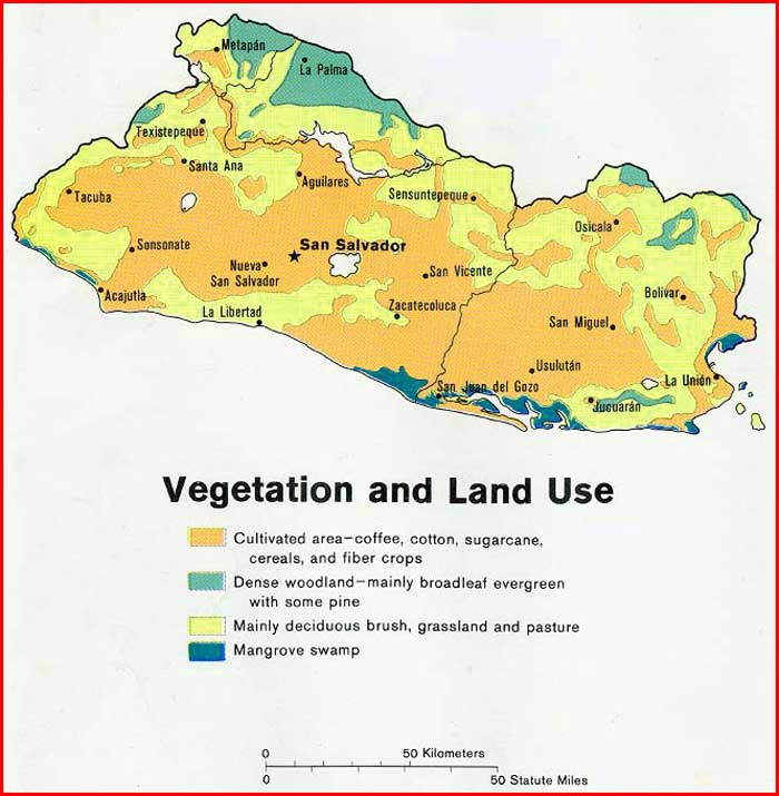 Sosial Geografi Di Negara El Salvador1